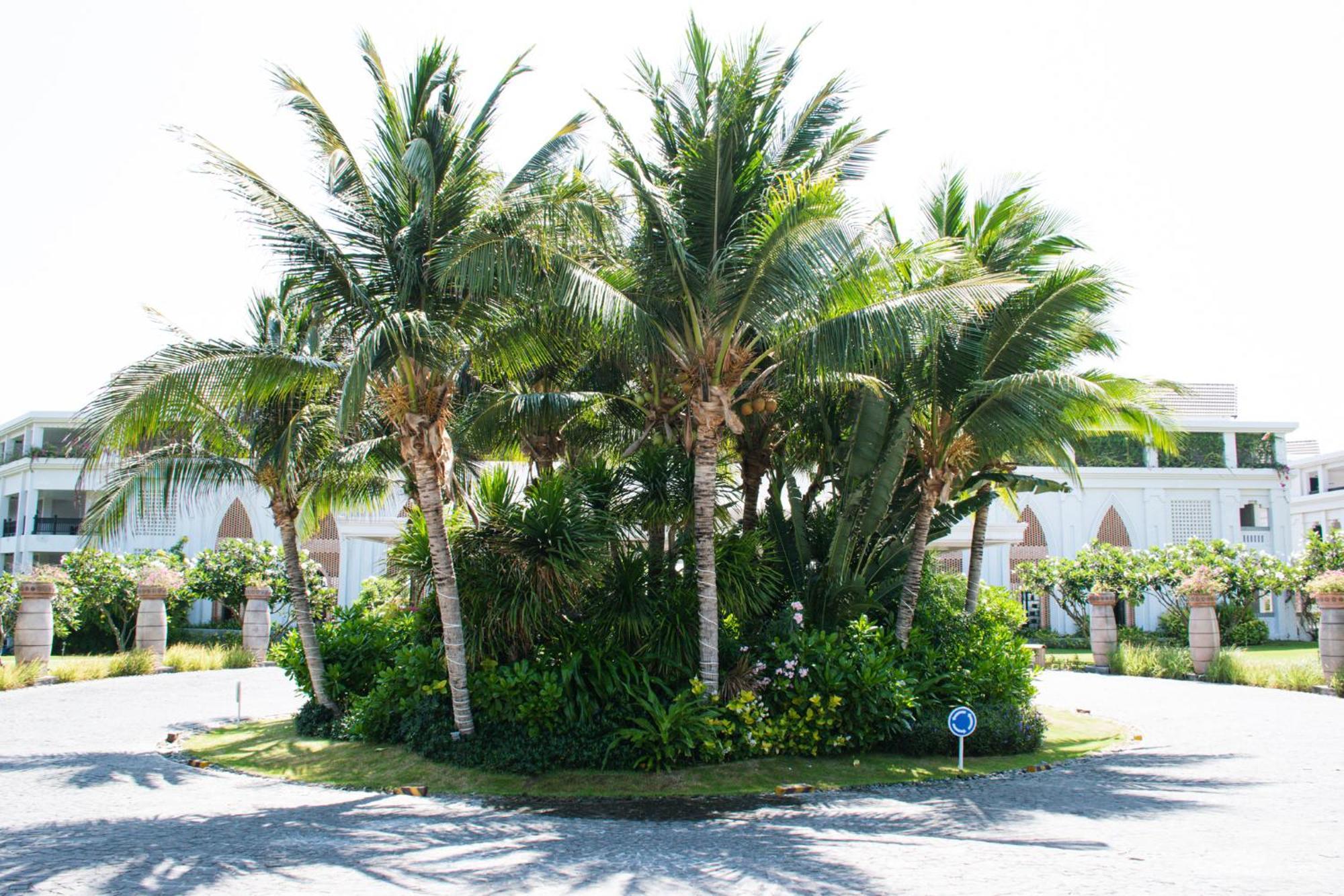 Muine Bay Resort Mui Ne Dış mekan fotoğraf