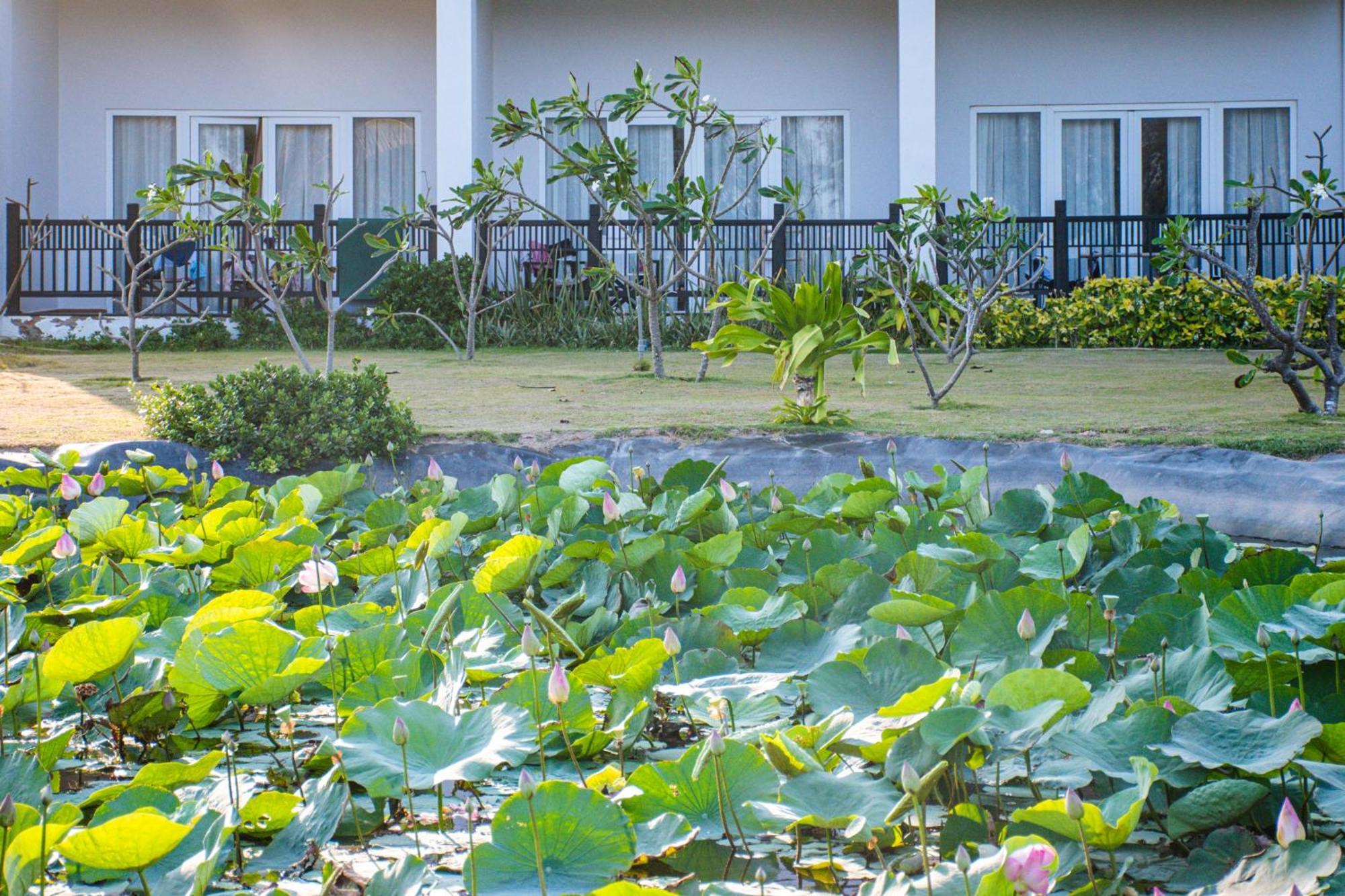 Muine Bay Resort Mui Ne Dış mekan fotoğraf